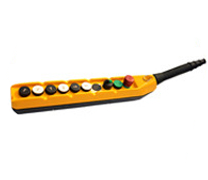 european electric hoist remote control